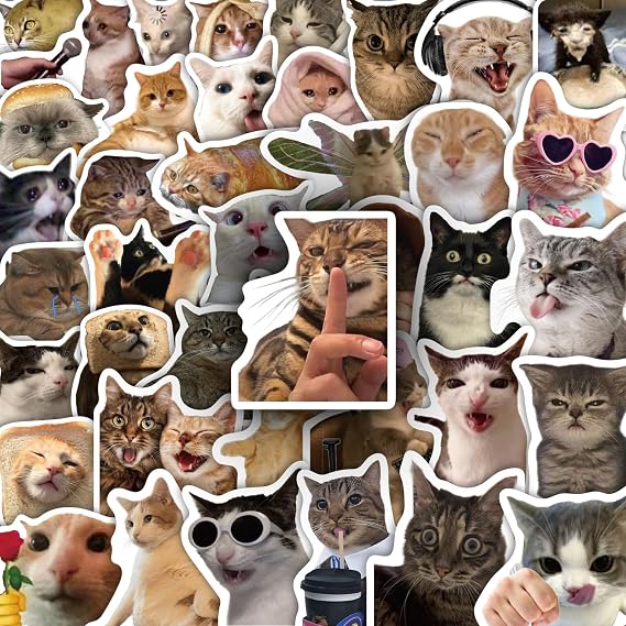 100 Pcs Cat Stickers, Funny Cat Meme, Cute Vinyl Kitty Sticker Pack | Waterproof Kawaii Stickers for Adults Kids Teens Students, for Water Bottles Laptop Scrapbook Journaling Supplies