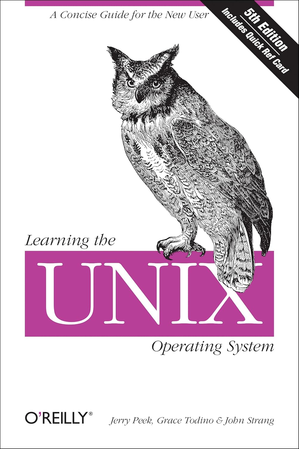 Learning the UNIX Operating System: A Concise Guide for the New User Paperback – Illustrated, January 15, 2002