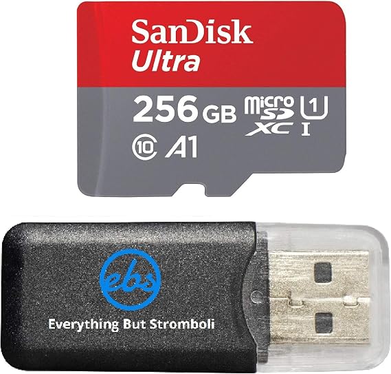 SanDisk 256GB Ultra UHS-I MicroSDXC Memory Card Insta360 Action Camera