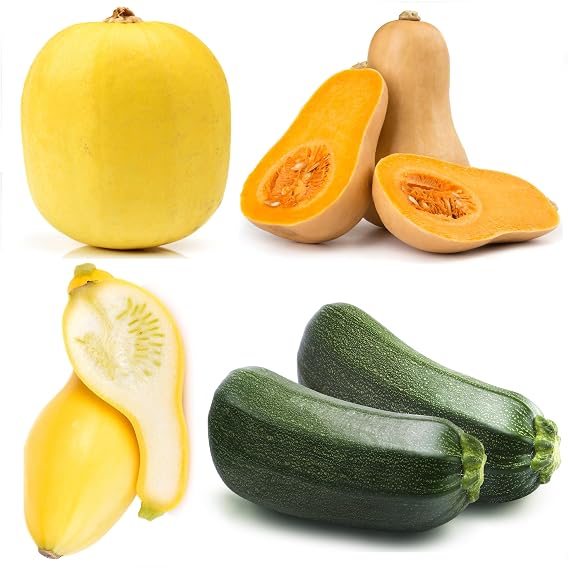 Squash Seeds Variety Pack for Planting 4 Heirloom Non-GMO Varieties: Black Beauty Zucchini, Spaghetti, Butternut, Crookneck Easy to Grow Summer & Winter