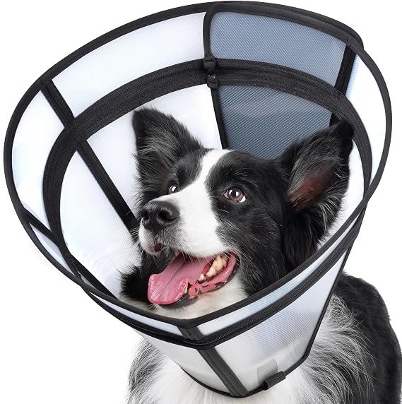 Transparent Dog Cone Recovery Collar, Adjustable Length