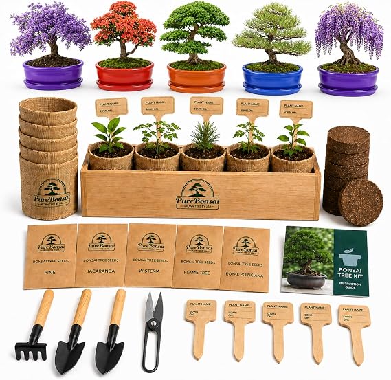 Bonsai Tree Starter Kit for Beginners Complete Indoor Growing Kit with 5 Unique Japanese Bonsai Tree Seeds Pots & Gardening Tools DIY Gift for Adults