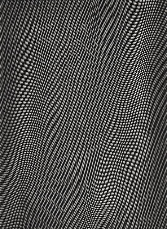 STColor Carbon004-Water Transfer Printing Film-Streamline Carbon Fiber