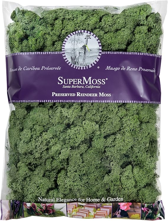 SuperMoss (25154) Reindeer Moss Preserved, Basil, 16 Ounces